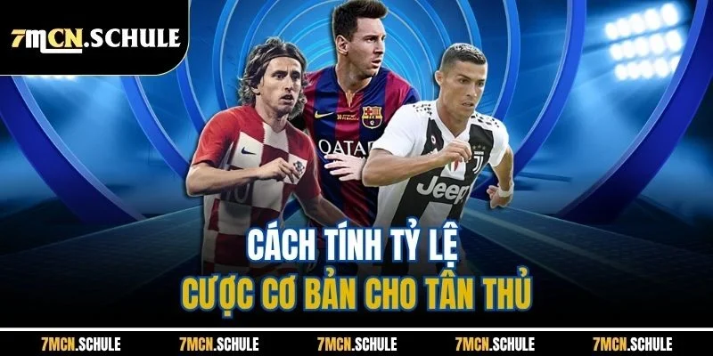 Cách tính tỷ lệ cược cơ bản cho tân thủ